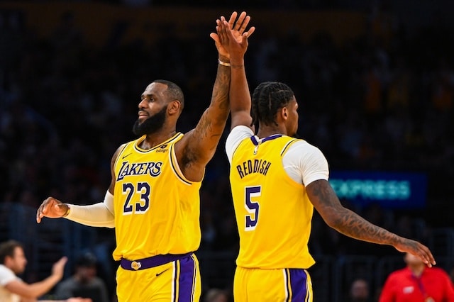 LeBron James, Cam Reddish, Lakers