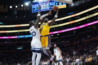 Deandre Ayton, Lakers, Timberwolves